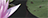 003 003